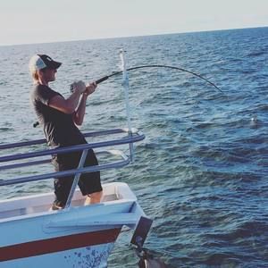 Meet your Posher, Cody